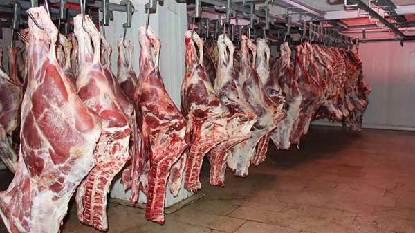 گوشت قرمز گران تر می شود گوشت قرمز گران تر می شود