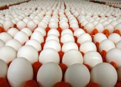 چرا بازار تخم مرغ ملتهب شد؟