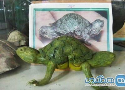 موزه تاریخ طبیعی یکی از موزه های دیدنی شهر اصفهان است